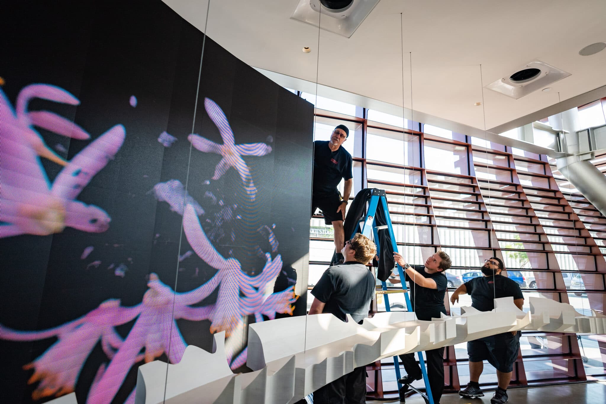 Guerlain project photo 22