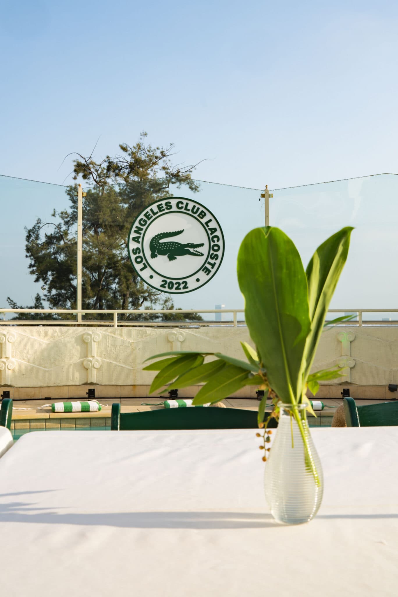 Lacoste project photo 25