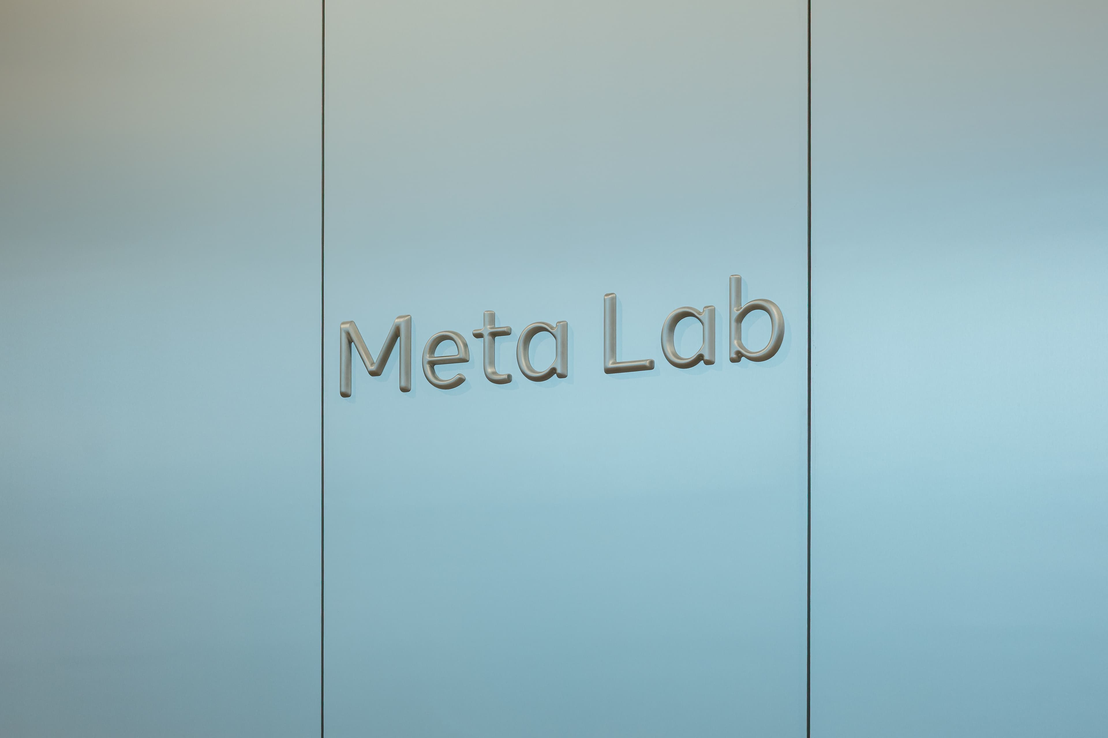 Meta Labs project photo 5